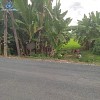 Bán hơn 2 công đất, Phú Thuận, Thoại Sơn, AG 